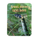 Buscar chinese new year tarjetas Serpiente