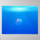 Buscar jellyfish arte Mar