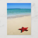 Buscar estrella roja postales Náutico