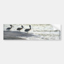 Buscar fauna pegatinas parachoque Animales