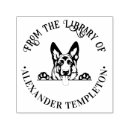 Buscar perro pastor belga postales Animales