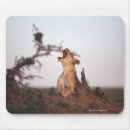 Buscar bostezo alfombrillas de raton Animal