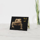 Buscar sapo tarjetas Humor