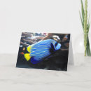 Buscar emperador tarjetas Naturaleza