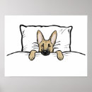 Buscar pastores alemanes posters Animales