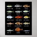 Buscar biólogos posters Océano