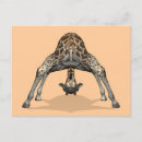 Buscar flexible postales Para todos