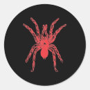 Buscar viuda negra pegatinas Insecto