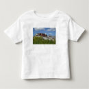 Buscar tibet camisetas Palacio