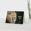 Buscar del perfil del tarjetas Foto