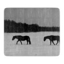 Buscar caballo blanco tablas cortar Campo