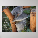 Buscar oso lindo posters Para todos