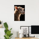 Buscar cordero posters Animal de granja