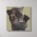 Buscar jaguar lienzos Vida silvestre