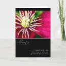 Buscar clematis tarjetas Fotografía