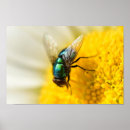 Buscar verde de botella posters General y unisex