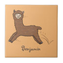 Buscar alpaca azulejos 1 ª presa