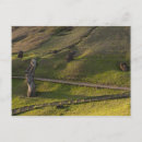 Buscar isla de pascua postales Nui
