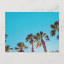 Buscar soleado postales Palmera