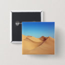 Buscar sahara chapas Naturaleza