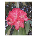 Buscar árboles arte Medio ambiente