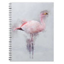Buscar flamencos cuadernos Pájaro