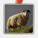 Buscar skye adornos Reino unido