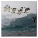 Buscar pingüino azulejos Unidad