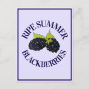Buscar summer postales 8 º fruta
