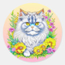 Buscar gato persa blanco pegatinas Contenido generativo