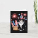 Buscar gato del fuego tarjetas Fuegos artificiales
