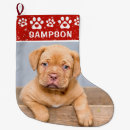 Buscar colores calcetines navideños Para mascotas