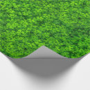 Buscar agua papel de regalo Naturaleza