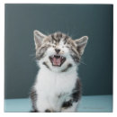 Buscar integral azulejos Vertical