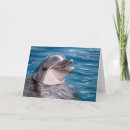 Buscar delfínes tarjetas Animales