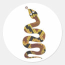 Buscar piel de serpiente pegatinas Elegante