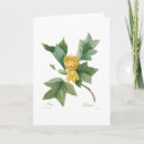 Buscar árbol de tulipán tarjetas Flor