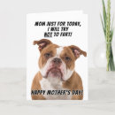 Buscar terrier de staffordshire tarjetas Aterrador