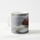 Buscar snail tazas Caracol