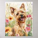 Buscar yorkshire arte De pared de perro