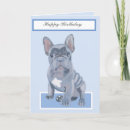 Buscar bulldog tarjetas Dulce