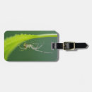 Buscar de la araña accesorios General y unisex