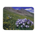 Buscar transparent imanes Verde