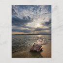 Buscar st augustine fl postales Concha