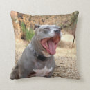 Buscar perro de pitbull cojines General y unisex