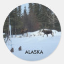 Buscar alces pegatinas Alaska