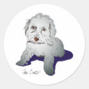 Buscar perro maltés pegatinas Caniche