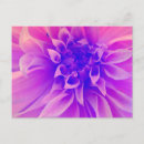 Buscar macro postales Flor