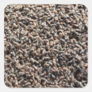 Buscar insectos pegatinas Larva