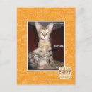 Buscar idiota postales Puedo tengo cheezburger